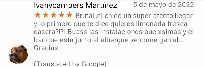 review 1 google my business